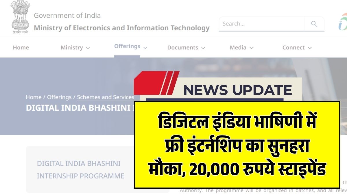 DIBD Internship 2025