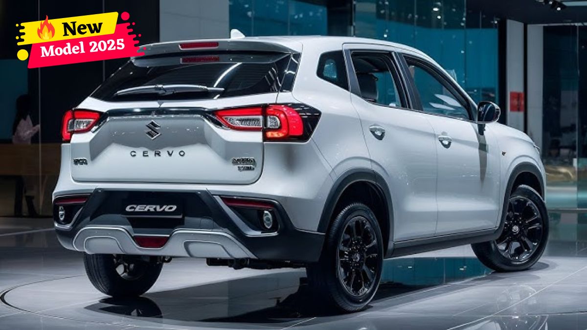 Maruti Cervo