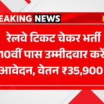 Railway Ticket Checker 2025